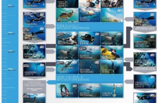 Freediving poster